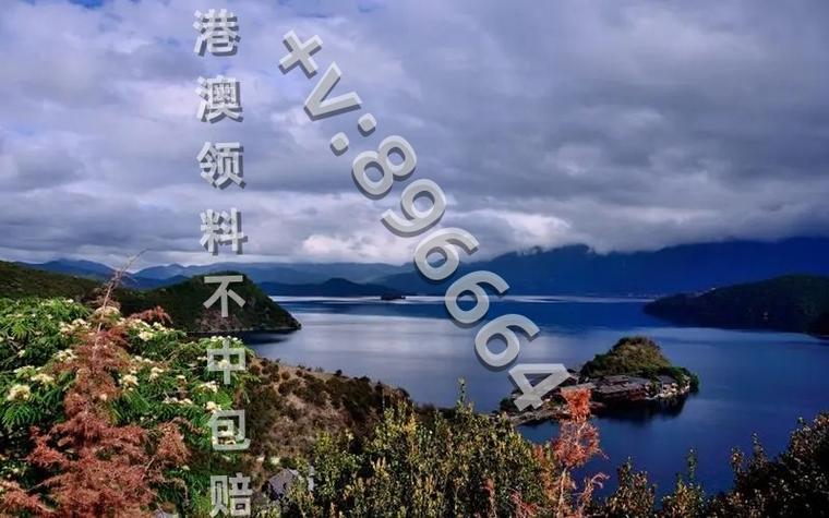 生活资讯 第58页