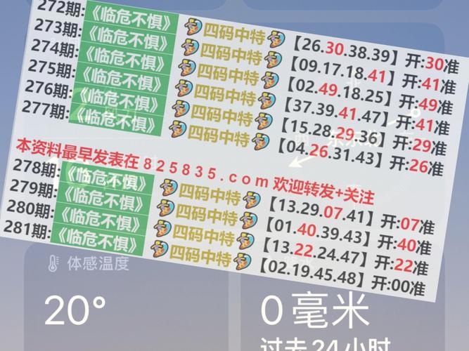 2024澳门正版精准资料86期