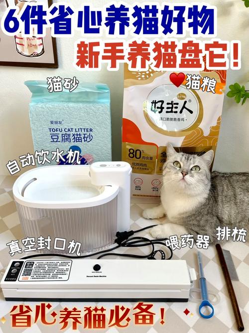 年轻人把猫盘出班味;把猫盘出包浆