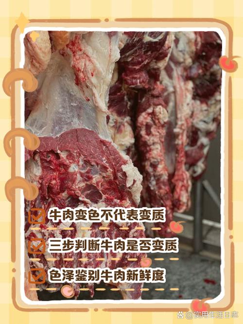 牛肉馅大肠杆菌污染,牛肉馅大肠杆菌污染大吗